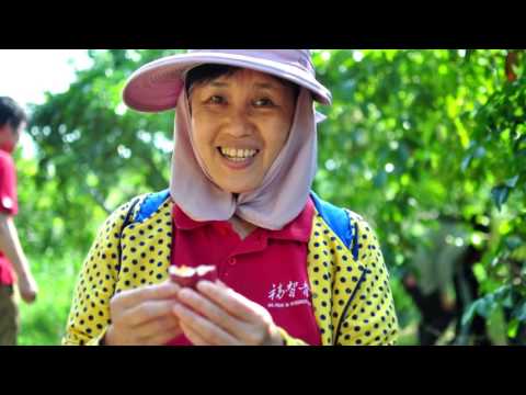 2015福智青年＿心靈小農夫之旅含幕後特輯