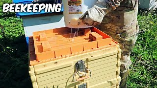 Best Sugar Syrup Feeder - Beekeeping