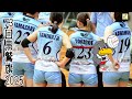 👑【黒鷲旗2025】東京サンビームズ☀澄み切った青い花々活き活き咲き誇る💮来年度応援したいＶリーグチーム🏐第73回全日本選抜バレーボール大会🏐ＧＷ開催は今年が最後 Women's Volleyball