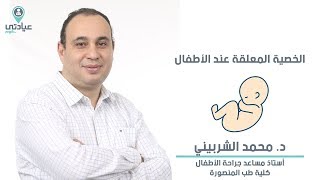 الخصيه المعلقه عند الأطفال مع  د / محمد الشربيني _ دكتور جراحة أطفال بالمنصورة