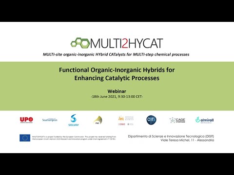 Functional Organic-Inorganic Hybrids for Enhancing Catalytic Processes