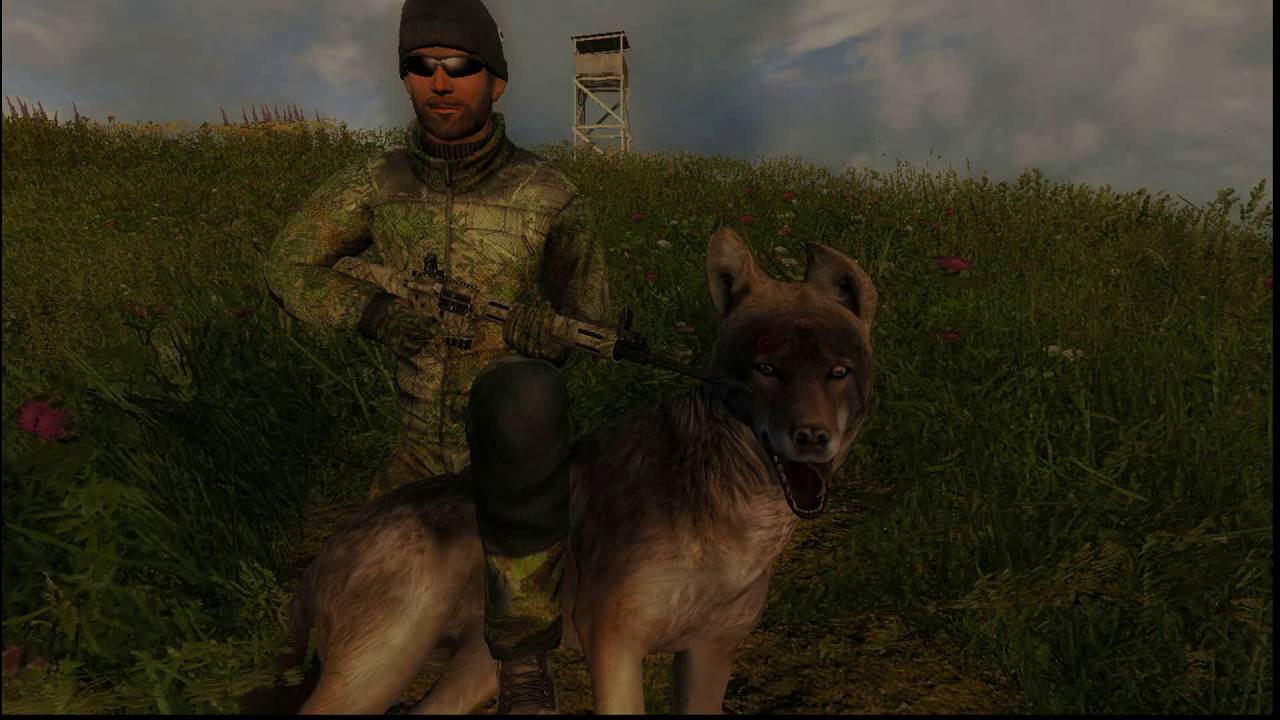 223. AR Forest Camo Rifle Review- Javan5221 theHunter