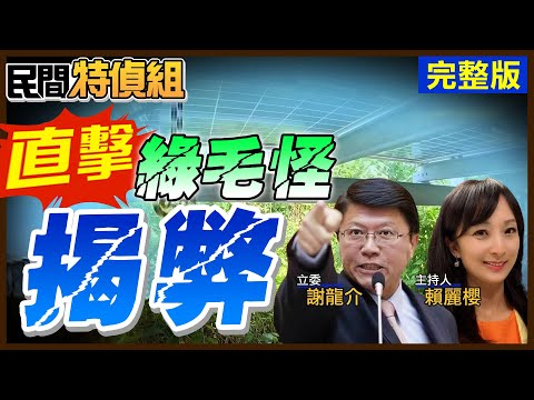 【#民間特偵組 138】獨家直擊！綠毛怪！不用等20年廢棄 現在已成災？打臉蔡英文說光電板到期能恢復耕種ft.謝龍介X賴麗櫻@PeopleJustice