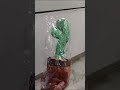 Video Image