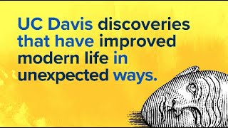Discoveries - Art to Food