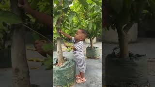 Download Lagu Selamat pagi Indonesia #shorts MP3