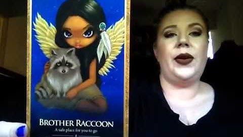 Review: Oracle of the Shapeshifters by Lucy Cavendish