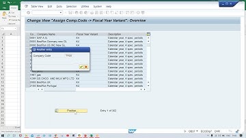 Class 12 # Fiscal Year Variant 2 # WhatsApp @ +91 7416797921 For SAP FICO online training