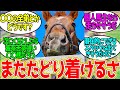 オペラオーさん「グランドスラムはそれ程大そうなものではないんだよ…」に対するみんなの反応！【競馬 の反応集】