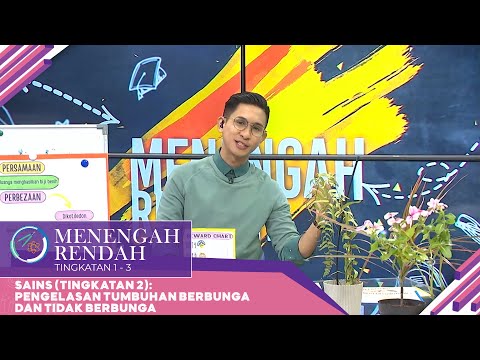 Video: Pembiakan Tumbuhan Bintang Pucuk – Pembahagian Bintang Pucuk Dan Pembiakan Benih