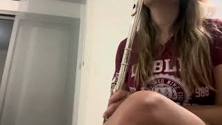 Pinhani - Çok Alıştım Sana (Flute Cover)