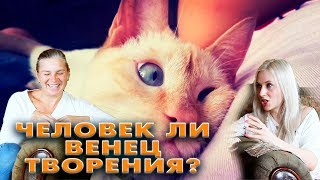 Человек ли венец творения? Есть ли душа у животных