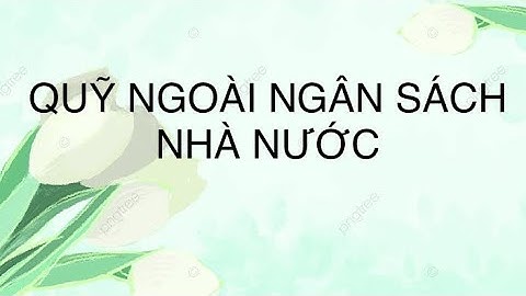 Quỹ tài chính nhà nước ngoài ngân sách là gì