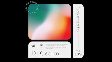 【Chilly Source Radio Vol.169】 Mixed by Cecum #chill #pop