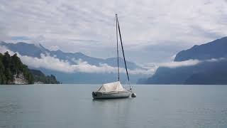 Lake Geneva and Lake Brienz