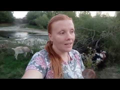 Evening before school// new school year// walk