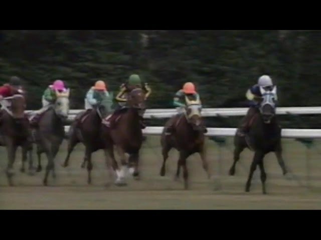 1992年 マイルチャンピオンシップ（GⅠ） | ダイタクヘリオス