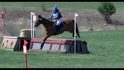 Jackie Molina  "Lexx"  Plantation Field Horse Tria...
