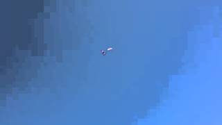 Elks rodeo skydiving flag