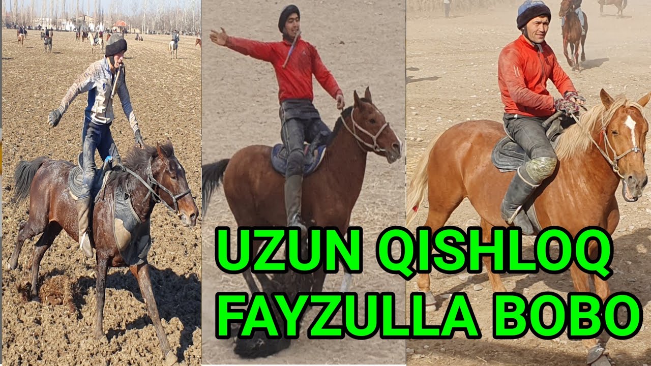 URGUT UZUN QISHLOG‘I Fayzulla hoji bobo uloq ko‘pkarisi 21 01 2023 @tuning_damaslar