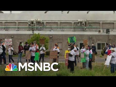 OSHA Oddly Reticent Despite Worker Peril In Coronavirus Era | Rachel Maddow | MSNBC