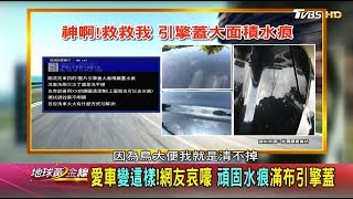 愛車變這樣！網友哀嚎 頑固水痕滿布引擎蓋 地球黃金線 20180814 (2/4)