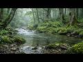 Forest Rain &amp; Flowing River 🌿 2 Hours | Moss &amp; Stream Sounds | Sleep &amp; Meditation
