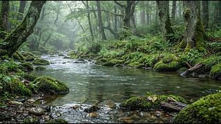 Forest Rain &amp; Flowing River 🌿 2 Hours | Moss &amp; Stream Sounds | Sleep &amp; Meditation