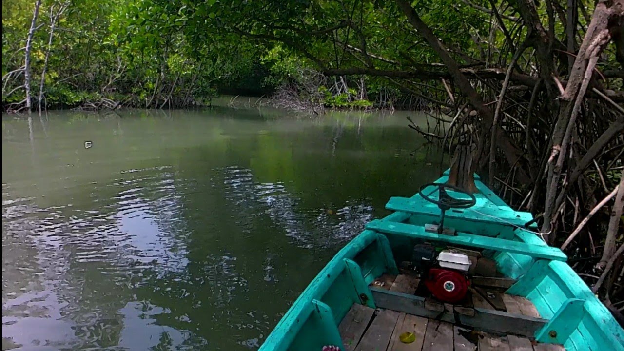 Mancing Sendirian !! di hutan bakau Pondok bali subang