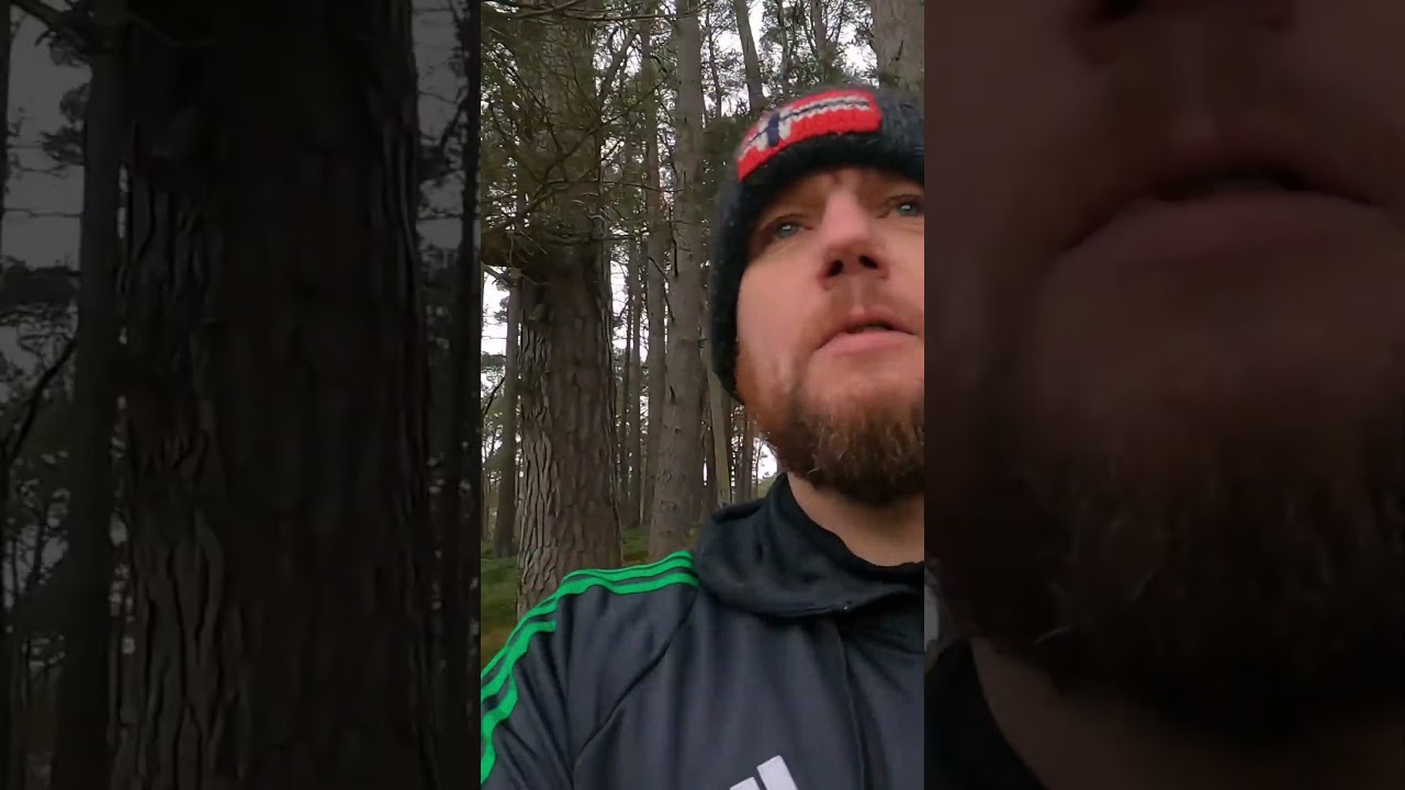 Атмосфера дикого кемпинга и живописные виды на реку и горы.