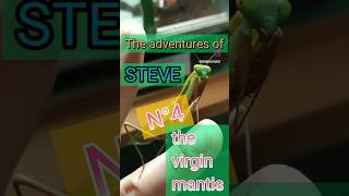 Part 4 - Steve Gets All Huggy