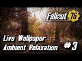 Fallout 76 Live Wallpaper/Relaxation loop #3 (1 hour)