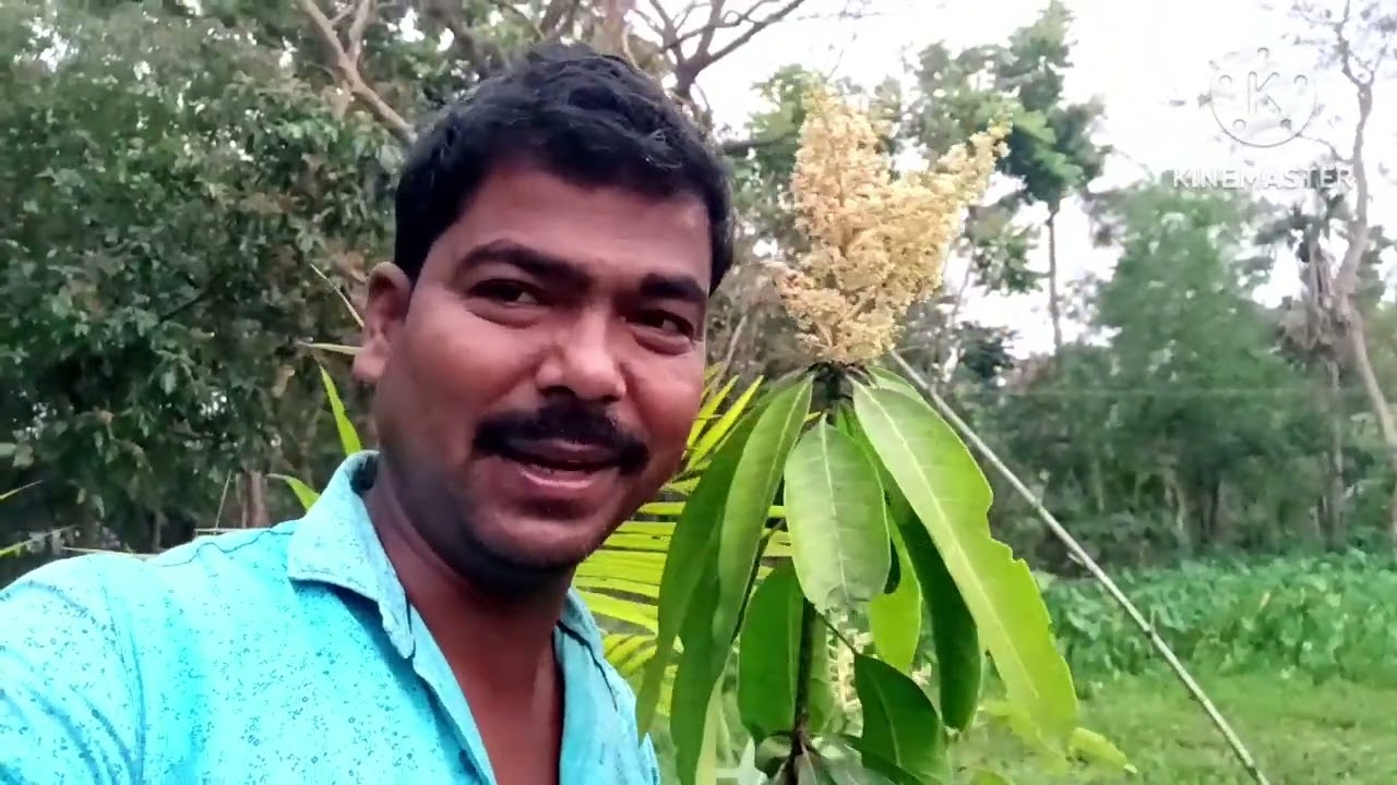 টব ছাড়াই গাছ কোরলাম জলের ওপর ফুল ফল সকল ধরনের গাছ