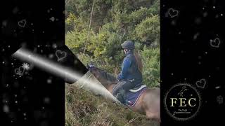Flatwork Training Arena 2
