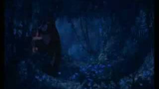 Tarzan-You'll be in my heart-multilanguage 1.flv