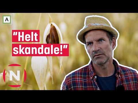 Ting går helt skeis når Jon prøver å treske svarthavre! | Jon blir bonde | TVNorge