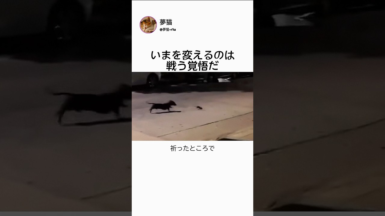 いまを変えるのは戦う覚悟だ