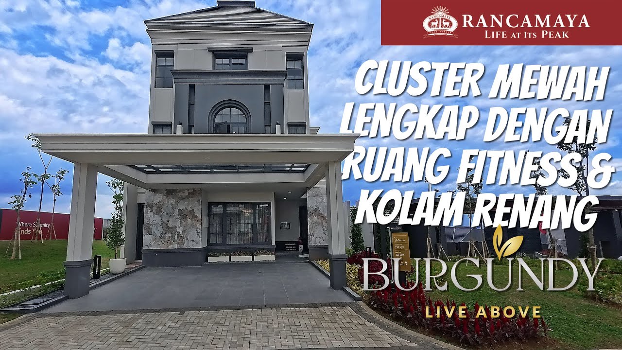 New Cluster BURGUNDY by RANCAMAYA