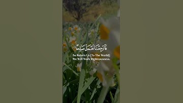ولو ترى إذ المجرمون ناكسو رءوسهم عند ربهم ربنا أبصرنا وسمعنا | سورة السجدة | القارئ شريف مصطفى