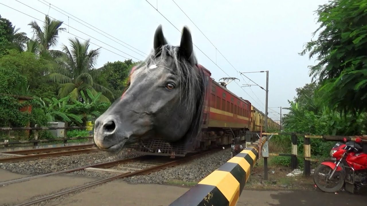 Dangerous Horse Headed Teesta Torsa Express Furious Passing Throughout at Railgate 