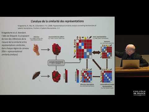 Progrès récents en imagerie cérébrale et décodage... (3) - Stanislas Dehaene (2018-2019)