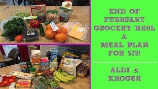 GROCERY HAUL &amp; MEAL PLAN FOR $75 | FEB 22-28 [FAMILY OF 4]