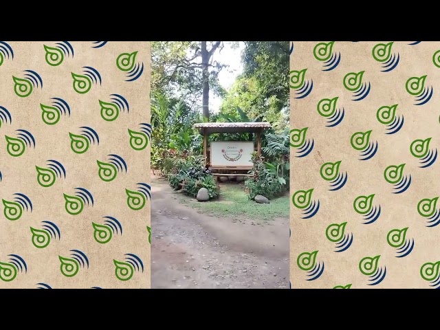 • Conoce el Centro Ecoturístico La Lima.