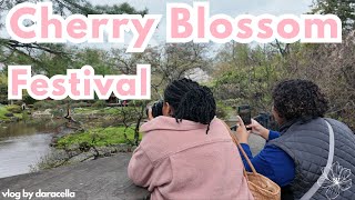 Philly Cherry Blossom Festival 4.13.24 | daracella vlog