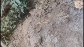 Adark Ko Kese Lmbe Smaye Tk Store Kare