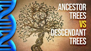 Introduction to Biblical Genealogy: Ancestor Trees vs Descendant Trees