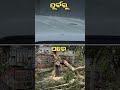 କାଳବୈଶାଖି ପୂର୍ବ ଓ ପରର ଦୃଶ୍ୟ