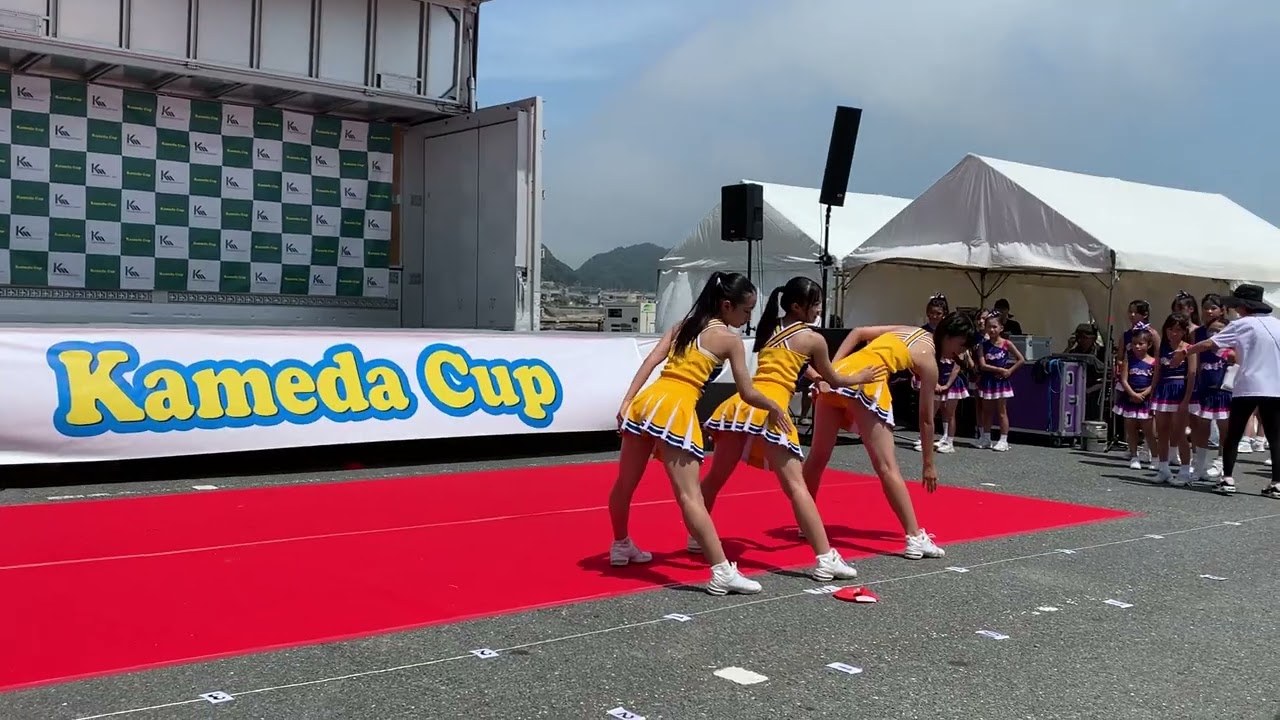 Kameda cup