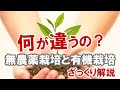 【ざっくりと解説】無農薬栽培と有機栽培って何が違うの？