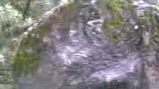 Chalma2